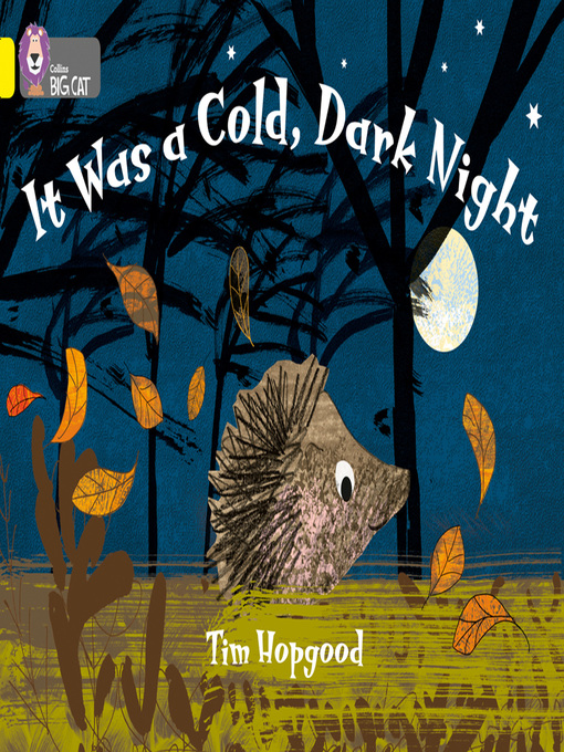 Title details for It Was a Cold Dark Night by Tim Hopgood - Wait list